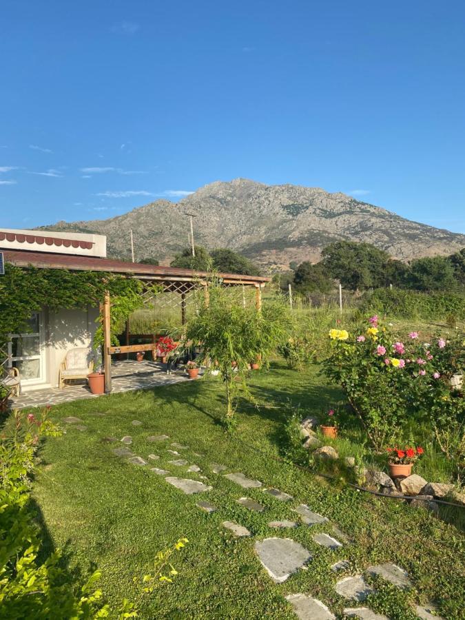 Samothraki - Sea, Mountain, Quiet别墅 外观 照片
